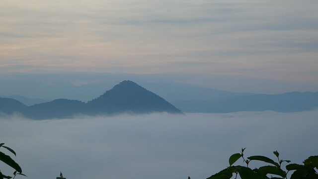 雲海にも見える濃い霧