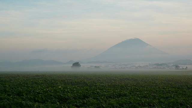 朝日と霧に包まれる羊蹄山