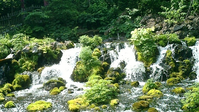 毎日8万トンもの清水が湧き出る